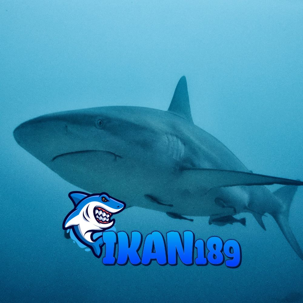 IKAN189 | Dapatkan Kursi Akses VIP Gratis